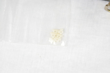 Enlarge photo 46