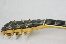 Enlarge photo 20