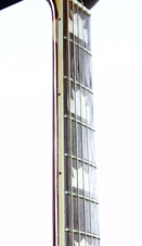 Enlarge photo 24