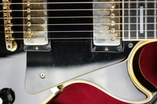Enlarge photo 45