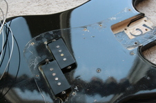 Enlarge photo 47