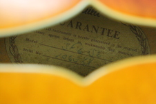 Enlarge photo 32