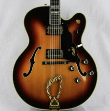 1974 Guild X500
