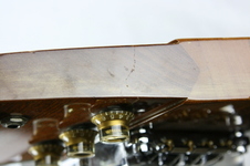 Enlarge photo 49