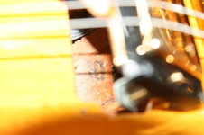 Enlarge photo 58