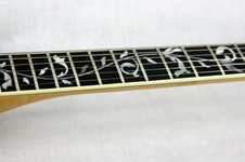 Enlarge photo 20
