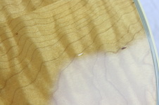 Enlarge photo 78