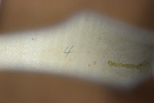 Enlarge photo 37