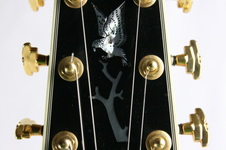 Enlarge photo 9