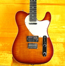 1994 Fender Tele John English
