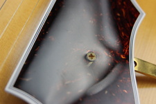 Enlarge photo 37