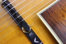 Enlarge photo 41