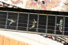 Enlarge photo 7