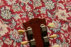 Enlarge photo 41