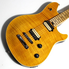 1999 Peavey EVH Wolfgang Hardtail