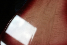 Enlarge photo 28
