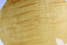 Enlarge photo 58