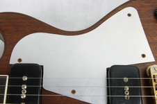 Enlarge photo 51