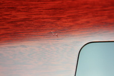 Enlarge photo 34