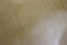 Enlarge photo 44