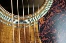 Enlarge photo 39