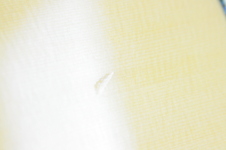 Enlarge photo 37