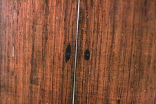 Enlarge photo 52
