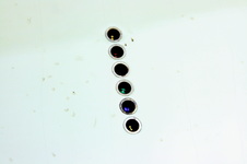Enlarge photo 42