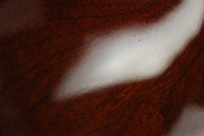 Enlarge photo 40