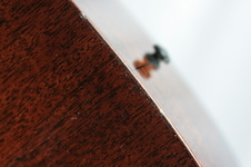 Enlarge photo 25