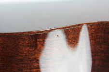 Enlarge photo 24