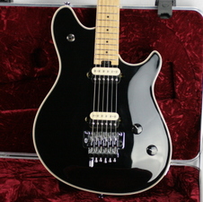 2010 EVH Wolfgang USA