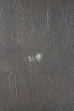 Enlarge photo 3