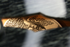 Enlarge photo 21