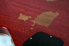 Enlarge photo 66