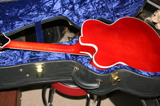 Enlarge photo 59