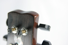 Enlarge photo 40