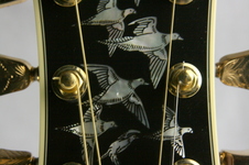 Enlarge photo 18