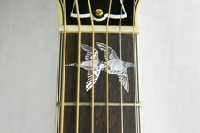 Enlarge photo 20