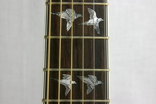 Enlarge photo 23