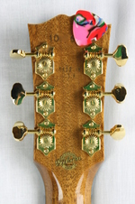 Enlarge photo 13