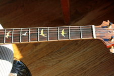 Enlarge photo 24