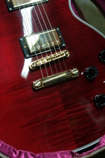 Enlarge photo 57