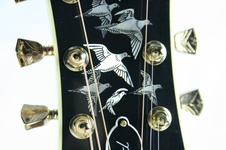 Enlarge photo 9