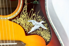 Enlarge photo 15