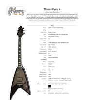 2018 Gibson Modern Flying V Ebony