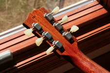 Enlarge photo 22