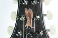 Enlarge photo 34
