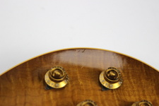Enlarge photo 62