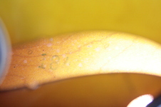 Enlarge photo 25